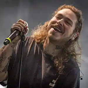 Picture for song 'Chaotic Beauty (Post Malone x NF Type Beat!)' by artist 'DJ Shaw-t'