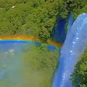 Picture for song 'LEPRECHAUN TEARS (BUY 1 GET 4 FREE)' by artist 'DreamBigRecords'