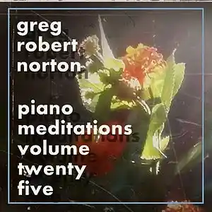 Picture for song 'GRN Music - PianoMeditationCcxixRedux' by artist 'Greg R. Norton'