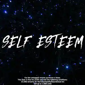 Picture for song '"SELF ESTEEM" Juice WRLD Type Beat' by artist 'HIWYER'