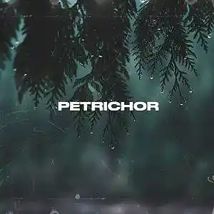 Picture for song 'Petrichor' by artist 'RICH MELLO'