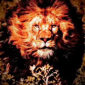 Picture for song 'No break' by artist 'Vakent'