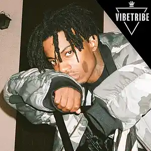 Picture for song '*Playboi Carti* Rotation (BUY 1 GET 1 FREE!)' by artist 'VibeTribeBeatz'
