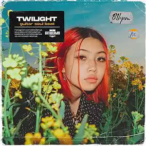Picture for song 'Twilight' by artist 'BITODELNYA'