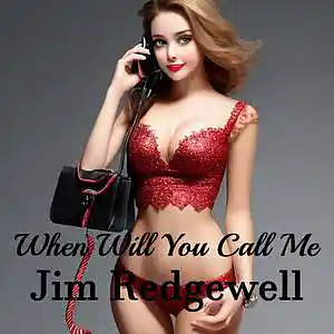 Picture for song 'When Will You Call Me' by artist 'Jim Redgewell'