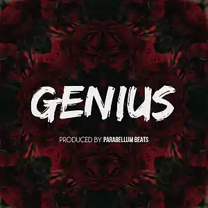 Picture for song 'Genius' by artist 'Parabellum Beats'