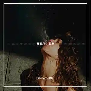 Picture for song '27. Dolphin' by artist 'RapaNizze'