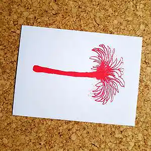 Picture for song 'Hello Aloha' by artist 'Salanje'