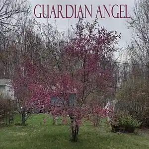 Picture for song 'Guardian Angel' by artist 'Sean Ferree'