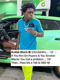 Picture for song 'Kodak Black Type Beat "Smokin'Blackz" (Prod.Track' by artist 'Trackmatic 850'