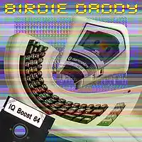 Picture for song 'IQ Boost 64 (uncut)' by artist 'Birdie Daddy'
