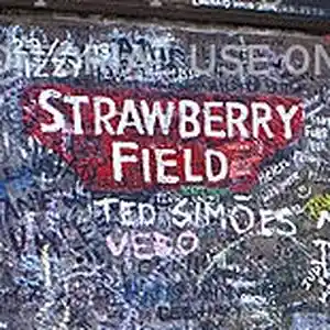 Picture for song 'Strawberry Fields Forever' by artist 'Bryan Knight aka Knight Flight'