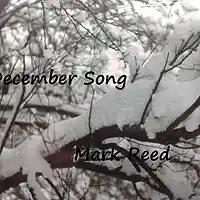 Picture for song 'December Song' by artist 'December Song'