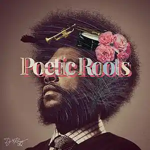 Picture for song 'Poetic Roots' by artist 'DJ 6 RINGS'
