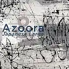 Picture for song 'New High' by artist 'Japanese Large'