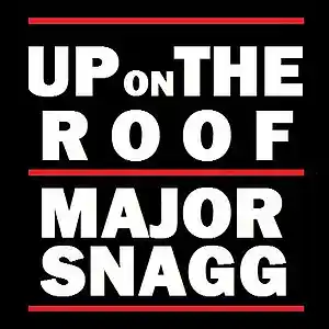 Picture for song 'Up On The Roof' by artist 'Major Snagg'