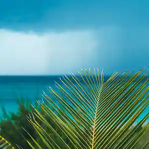 Picture for song 'Too Long' by artist 'P.R Beats'