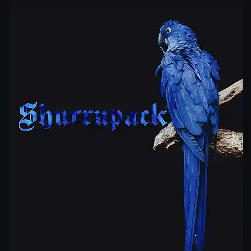 Picture for song 'Waiting [1710 25] (Latin)' by artist 'Shurrupack'