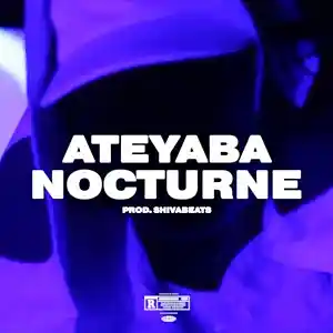 Picture for song 'ATEYABA TYPE BEAT - NOCTURNE (Prod.SHIVABEATS)' by artist 'SHIVABEATS'