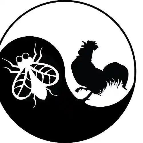 Picture for song 'Better Than' by artist 'T.H.E.Fly-Rooster'