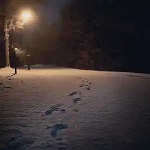 Picture for song '"Walking" Beats for Sale' by artist 'whoDeanyBeatz'