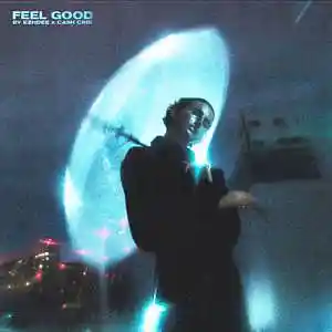 Picture for song 'FEEL GOOD' by artist 'CASH CRIB'