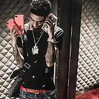 Picture for song 'Vuitton' by artist 'Ice Starr'