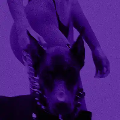 Picture for song 'My Dawgs (Sample x Lil Yachty x Drake)' by artist 'LEXI BANKS'