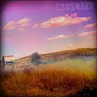 Picture for song 'Lockseed' by artist 'Passenger Pigeon'