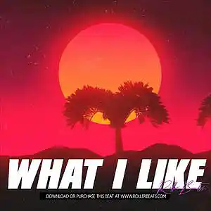 Picture for song '*WHAT I LIKE (@rollerbeats)' by artist 'Rollerbeats'