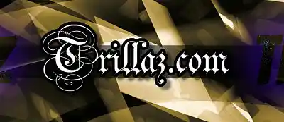 Picture for song 'TrillaG.com' by artist 'Trillagy'