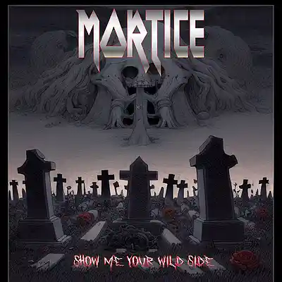 Picture for song 'Wham Bam' by artist 'Mortice'