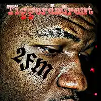 Picture for song 'Let it Go Full Best Produced by Javaughn Best' by artist '2FM'