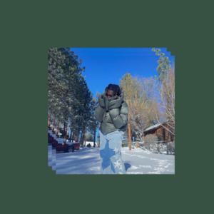 Picture for song 'No Regrets (153 bpm, Em) Don Toliver Type Beat' by artist 'beats by NTZ'