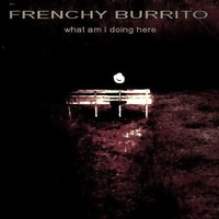 Picture for song 'On The Rocks' by artist 'Frenchy Burrito And The Folk Pistols'