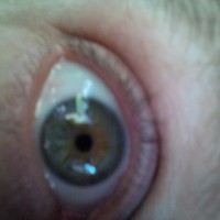 Picture for song 'Bach BWV 1004 Chaconne' by artist 'JimRoss'