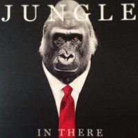 Picture for song 'Jungle Juice' by artist 'Koba Productions'