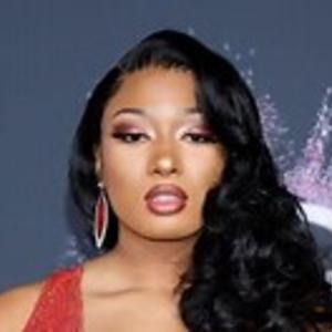 Picture for song 'THE MEGAN STALLION REMIX WO/ BEYONCE' by artist 'popdaddyhiphop'