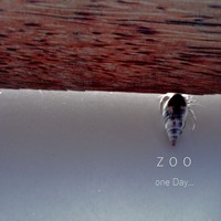 Picture for song 'On No Man's Land' by artist 'The Zoo'
