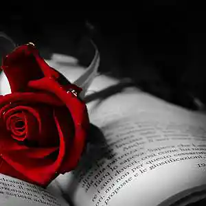 Picture for song 'A Sorrow Of Love' by artist '2uo7rax'