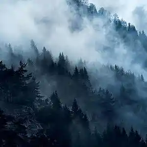 cover pic