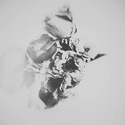 Picture for song 'Nostalgic' by artist 'A..A'