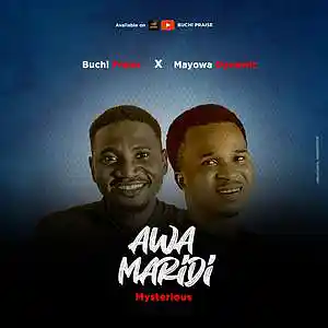 Picture for song 'AWAMARIDI' by artist 'Buchi Praise'