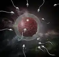 Picture for song 'ConSepSheOn' by artist 'Jerry Kratzmeyer'