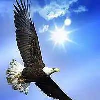 Picture for song 'Soar High INSTRUMENTAL ' by artist 'Kin Folk Beats'