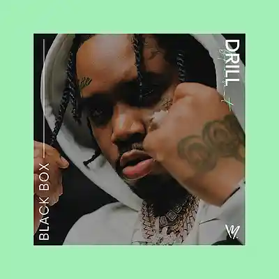 Picture for song 'Black Box (BUY 1 GET 1 FREE)' by artist 'Melorys'