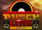 Picture for song 'SAMPLE sh** BRUH' by artist 'PunchLine Sounds'