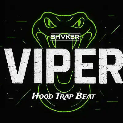 Picture for song 'VIPER' by artist 'shvker beats'