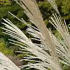 Picture for song 'Planting Grain' by artist 'Ambient Dawn'