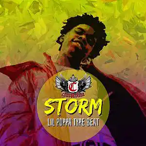Picture for song 'STORM (Lil Poppa type beat)' by artist 'Chorderline'